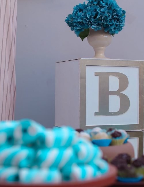 Chá do Benício 🐻